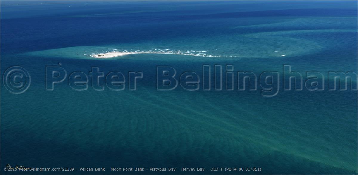 Peter Bellingham Photography Pelican Bank - Moon Point Bank - Platypus Bay - Hervey Bay - QLD T (PBH4 00 017851)